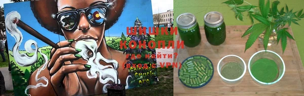 мяу мяу мука Рославль